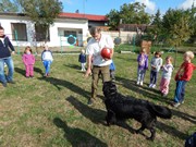 Sorbon - pes fotbalista